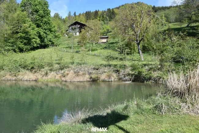 Teich mit Obstgarten