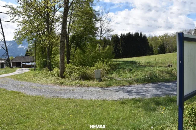 Panoramablick