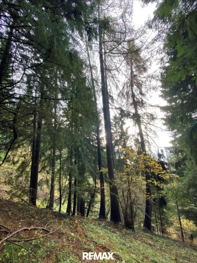 Bestand 2