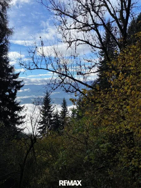 Blick ins Tal