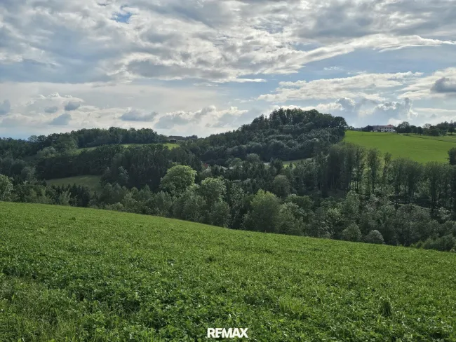 weite Hügellandschaft