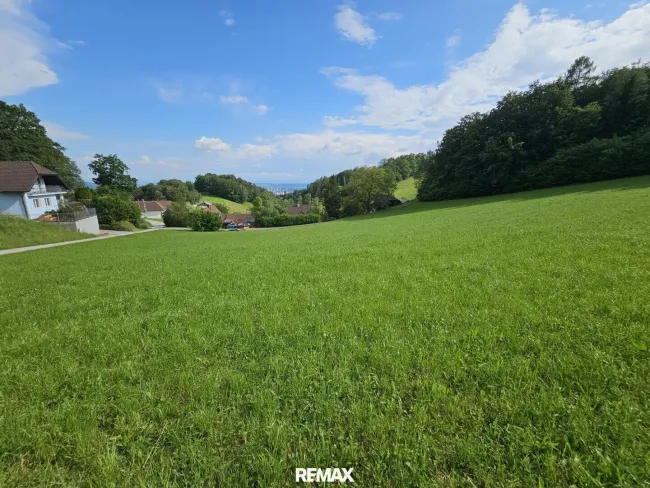 kleines Wohngebiet im Grünen