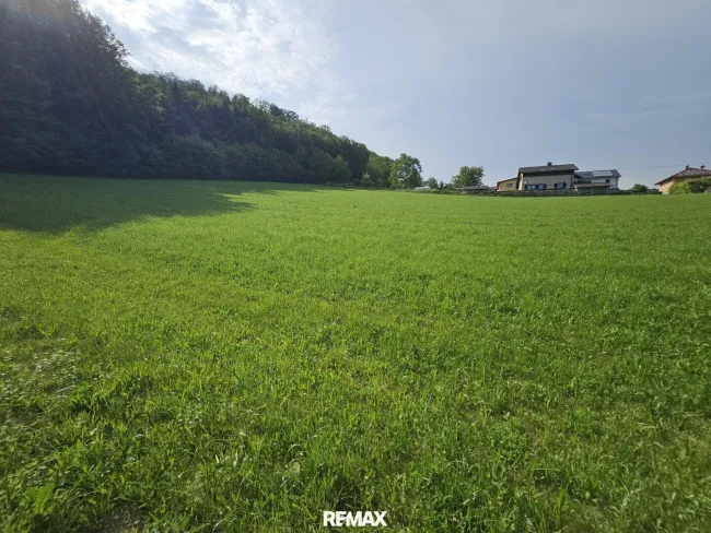 Blick nach oben