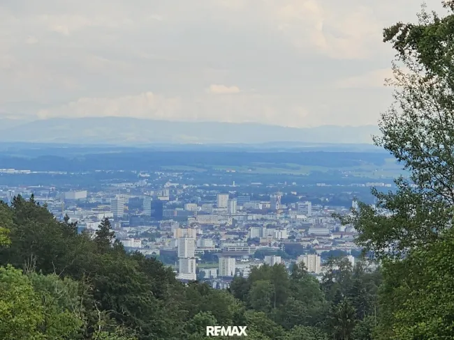 mit Blick auf Linz