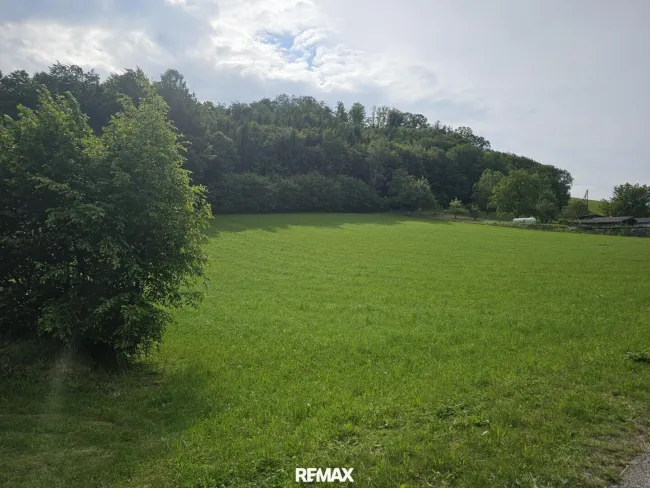 leichte Hanglage