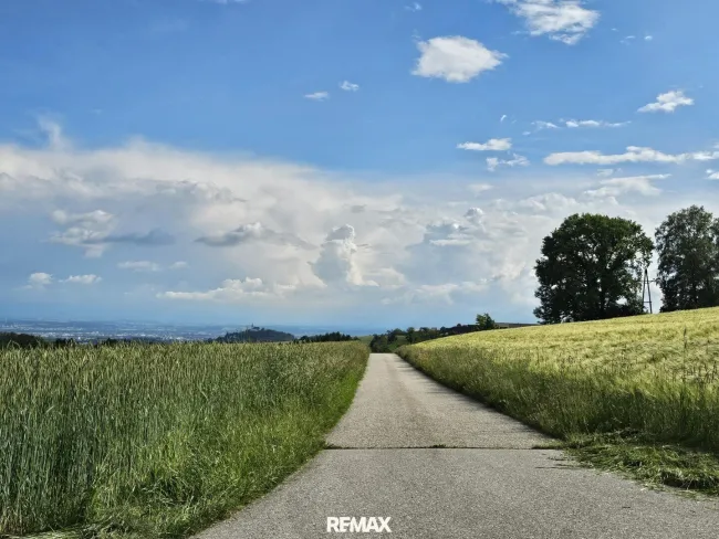 auf dem Weg zum Grundstück