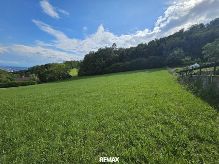 Standort im "grünen Gürtel" von Linz
