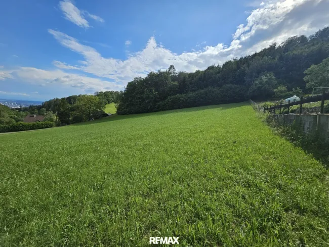 Standort im "grünen Gürtel" von Linz