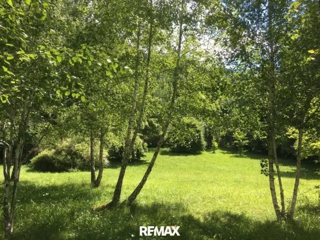 Seewiese