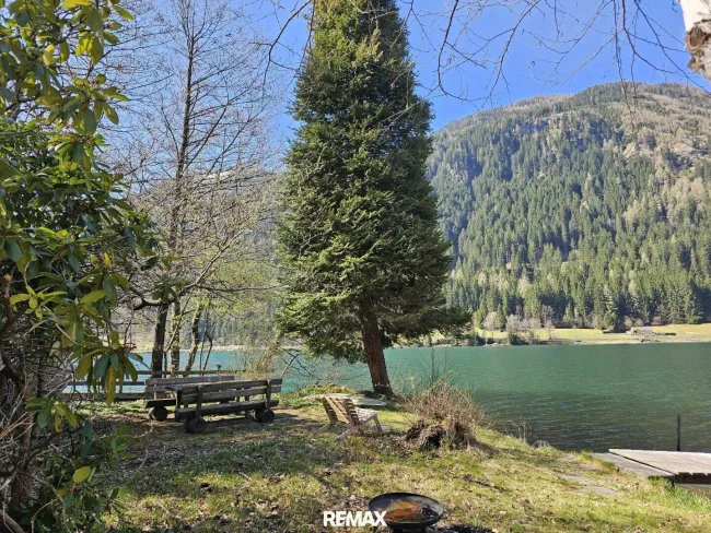 Frühling am Seegrund