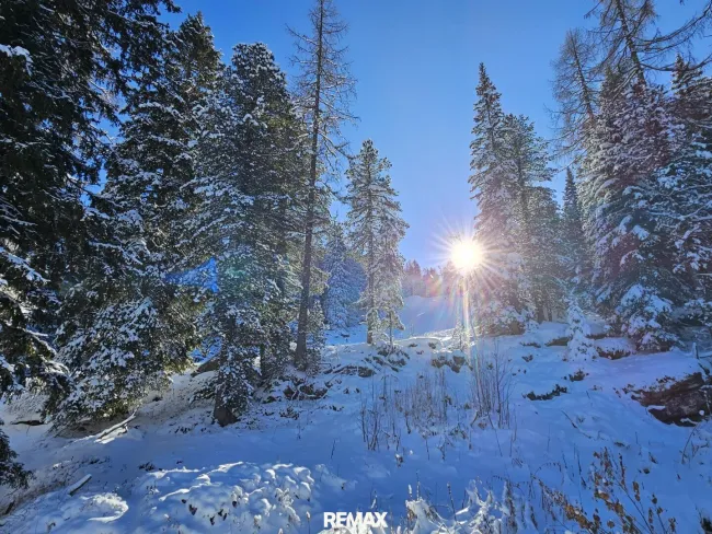 Ski-in & Ski-out - auf zur Märchenwaldpiste