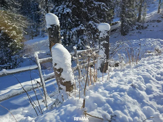 Schneezauber