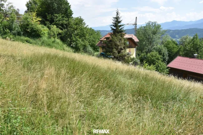 Panoramablick
