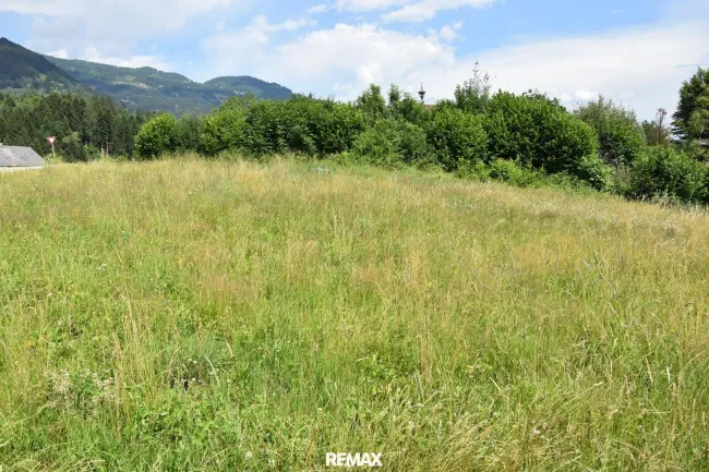 Hauptbild