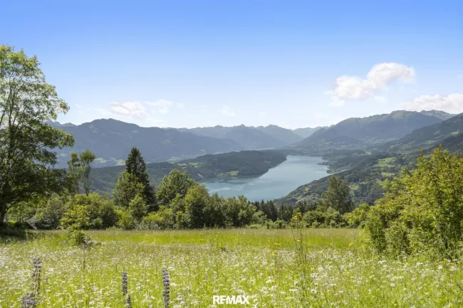 Almwiesen und der See