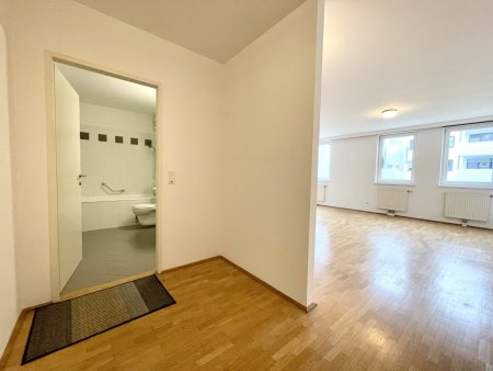 RUHIGER 1-ZIMMER-NEUBAU NAHE HANUSCH KRANKENHAUS
