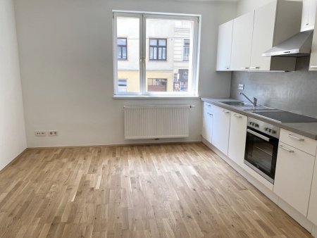 Zimmer 1 (mit integrierter Küche)