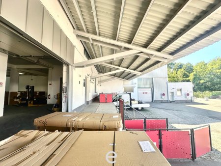 1.000,00m² Lagerhalle flexibel in Enns zu vermieten!