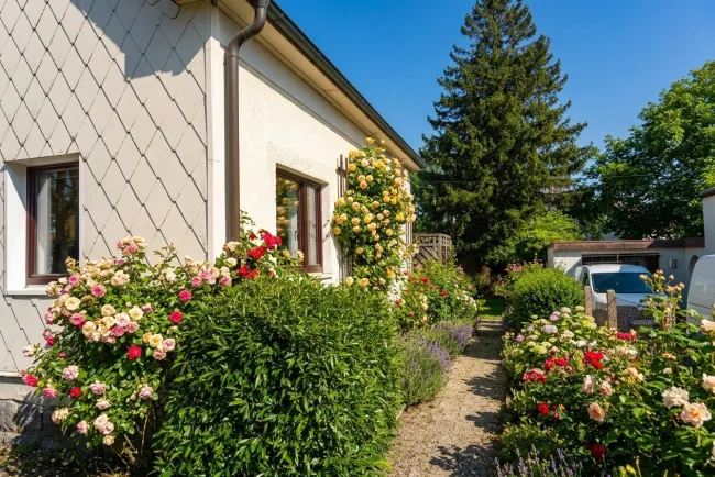 Wohnhaus und Garten – perfekte Größe für Paare, Freunde, Singles oder Kleinfamilien - Bild
