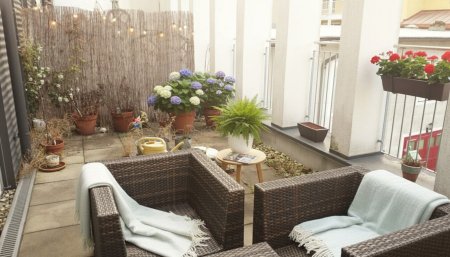 Zentrum - 2-Zimmer-Wohnung - 55,67m² - Terrasse - Ruhelage - Roto Immobilien