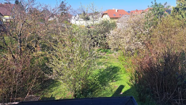 Blick vom Dachboden in den Garten