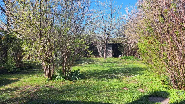 Blick in den Garten