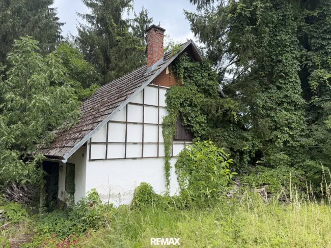1.700 m² Baugrundstück mit Altbestand – vielseitiges Entwicklungspotenzial in Sittersdorf - Bild