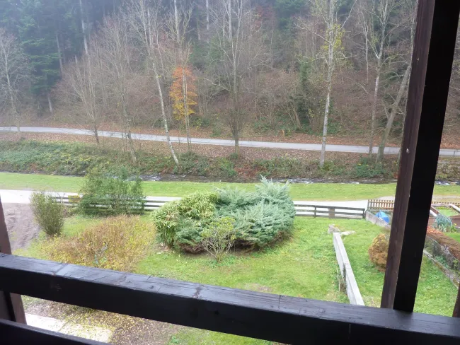 P1090811.JPG