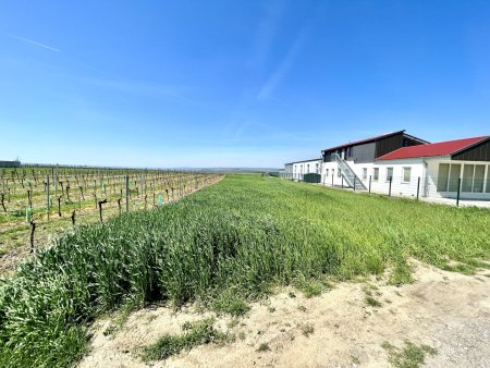 Großes Baugrundstück mit angrenzender Grünfläche