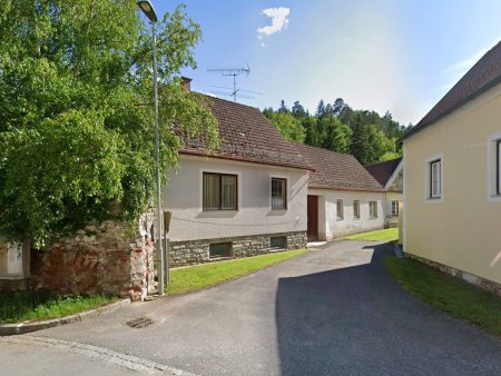 Bastlerhit für Ruhesuchende im wunderschönen Waldviertel! Nähe Drosendorf! Besichtigungen am 21.8.2026!