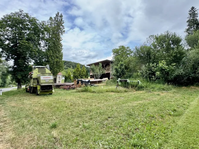 Gartenbereich Zufahrt - mit kleiner Kapelle