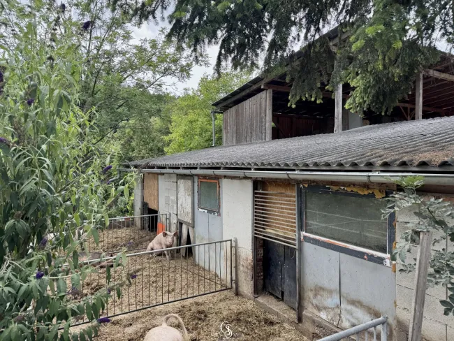 Außenbereich kleines Stallgebäude