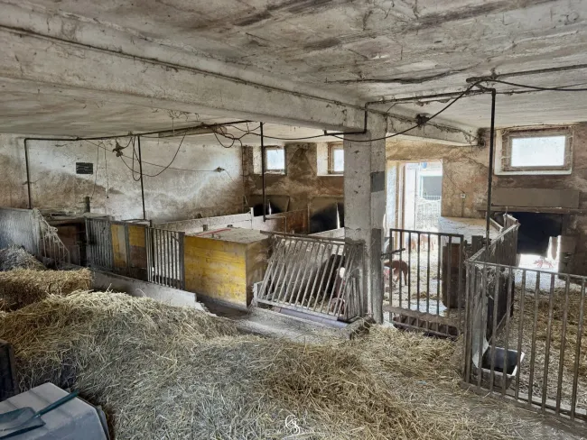 Stallungen großes Stallgebäude
