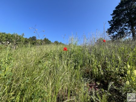 TRAUMHAFTER VILLENGRUND IN SONNIGER SÜDRUHELAGE MIT ATEMBERAUBENDEM WEITBLICK-KLOSTERNEUBURG-WEIDLING !