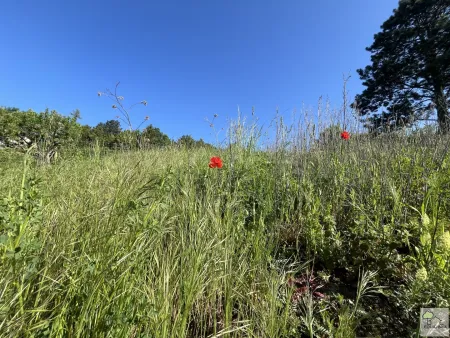 NEUER PREIS!!!TRAUMHAFTER VILLENGRUND IN SONNIGER SÜDRUHELAGE MIT ATEMBERAUBENDEM WEITBLICK-KLOSTERNEUBURG-WEIDLING !