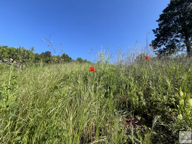 TRAUMHAFTER VILLENGRUND IN SONNIGER SÜDRUHELAGE MIT ATEMBERAUBENDEM WEITBLICK-KLOSTERNEUBURG-WEIDLING ! - Bild