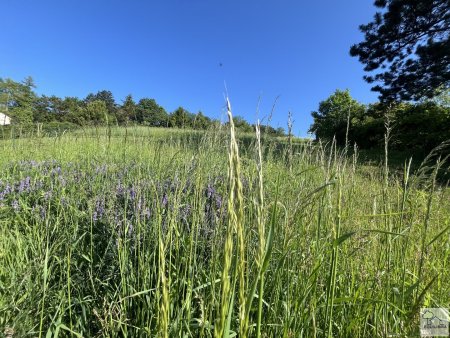 TRAUMHAFTER VILLENGRUND IN SONNIGER SÜDRUHELAGE MIT ATEMBERAUBENDEM WEITBLICK-KLOSTERNEUBURG-WEIDLING !