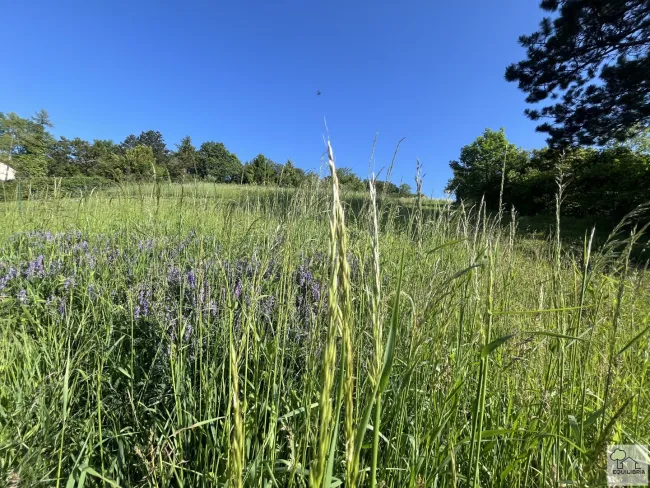 TRAUMHAFTER VILLENGRUND IN SONNIGER SÜDRUHELAGE MIT ATEMBERAUBENDEM WEITBLICK-KLOSTERNEUBURG-WEIDLING ! - Bild
