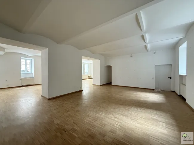 Geschäftslokal Nähe AKH/U6 Alserstrasse sucht Betreiber - Bild