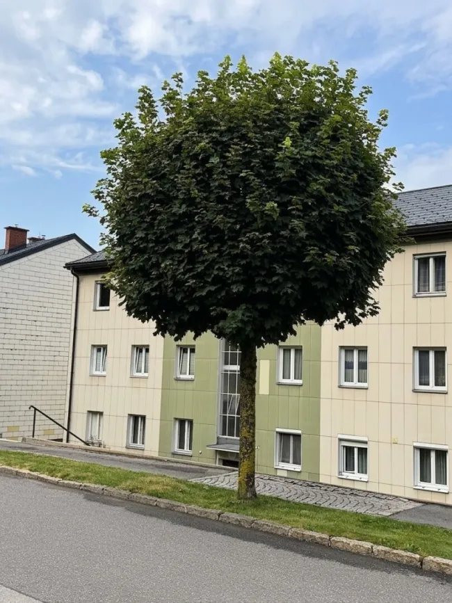 Wiener Neustädter Straße