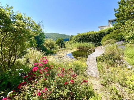 SÜDHANG WOHNTRAUM IM GRÜNEN MIT SCHWIMMTEICH UND WALDZUGANG