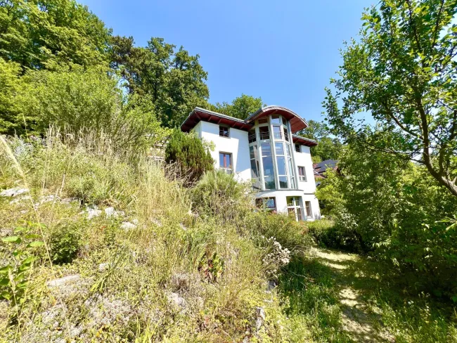 SÜDHANG WOHNTRAUM IM GRÜNEN MIT SCHWIMMTEICH UND WALDZUGANG - Bild