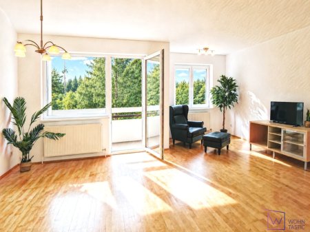 Wohnzimmer mit Loggiazugang und Grünblick