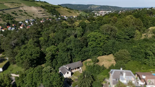 Exklusives Baugrundstück in Klosterneuburg/Weidling ! - Bild