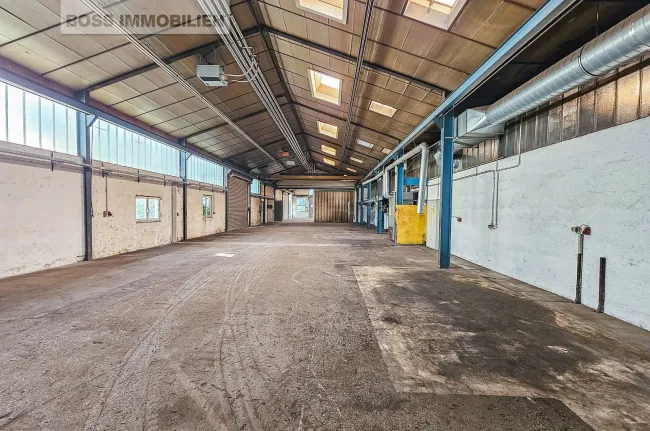 Attraktive Lagerhalle mit vielfältigen Nutzungsmöglichkeiten - Bild
