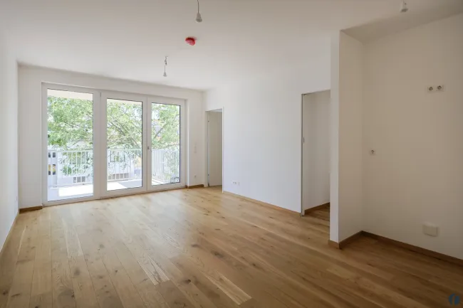 Wohnraum mit offener Küche