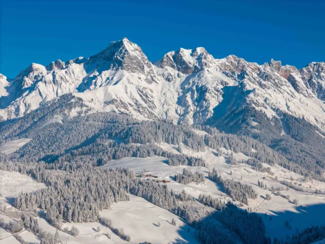 direkter Blick vom Haus aus
