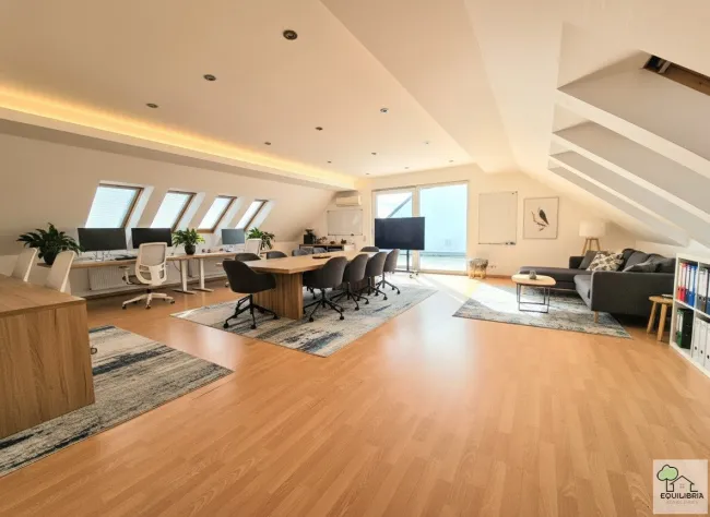 230m² BÜROFLÄCHE (od.KANZLEI od. PRAXIS) MIT 2 TERRASSEN--NETTOMIETE EUR 2800,- INKL. HEIZKOSTEN und BK - Titelbild
