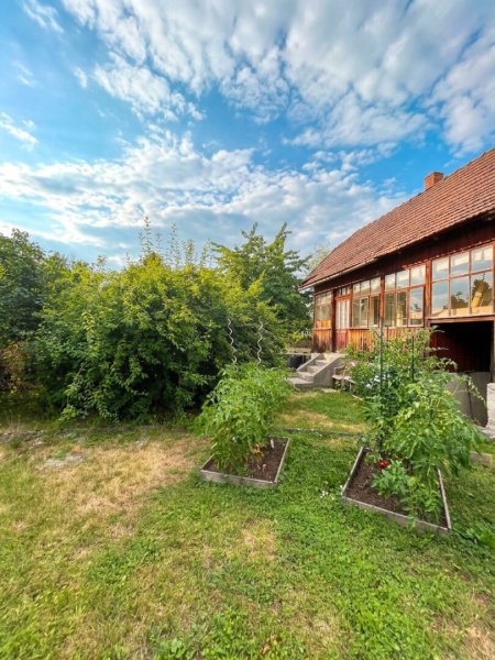Kleines, aber feines Baugrundstück mit altem Wohnhaus in Ternitz, Ortsteil Pottschach, zu verkaufen