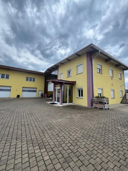 Attraktives Gewerbeobjekt in Ternitz – Hallen & Büroflächen zur Miete